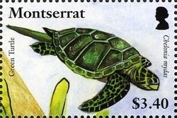 Colnect-1524-192-Green-Sea-Turtle-Chelonia-mydas.jpg