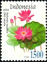 Colnect-1586-566-Flora---Nelumbo-nucifera.jpg