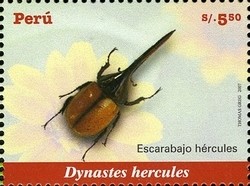 Colnect-1585-003-Hercules-Beetle-Dynastes-hercules.jpg