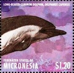 Colnect-5812-251-Long-beaked-common-dolphin.jpg
