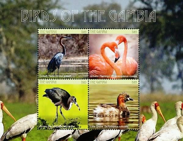 Colnect-5033-986-Birds-of-Gambia.jpg