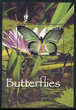 Skap-burundi_09_butterflies-ss.jpg