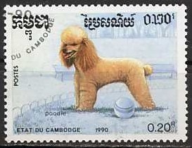 Colnect-1189-781-Poodle-Canis-lupus-familiaris.jpg