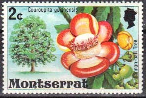 Colnect-845-766-Cannonball-tree.jpg