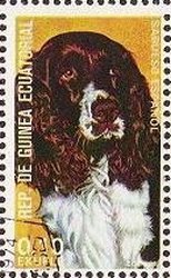 Colnect-865-223-Spaniel-Canis-lupus-familiaris.jpg