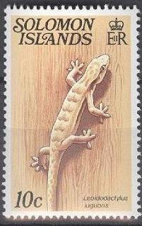 Colnect-1930-623-Mourning-Gecko-Lepidodactylus-ligubris.jpg
