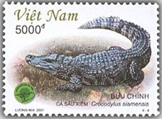 Colnect-1661-121-Siamese-Crocodile-Crocodylus-siamensis.jpg