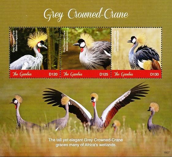 Colnect-5033-995-Grey-Crowned-Crane----Balearica-regulorum.jpg