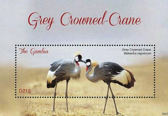 Colnect-5033-999-Grey-Crowned-Crane----Balearica-regulorum.jpg