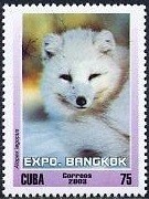 Colnect-1458-886-Arctic-Fox-Alopex-lagopus.jpg