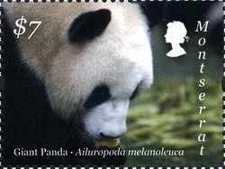 Colnect-1524-104-Giant-Panda-Ailuropoda-melanoleuca.jpg
