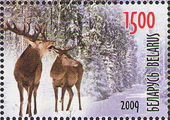 Colnect-608-983-Red-Deer-Cervus-elaphus.jpg
