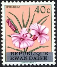 Colnect-1360-713-RW-U-180-Ruanda-Urundi-overprint--REPUBLIQUE-RWANDAISE-.jpg