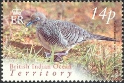 Colnect-1425-773-Zebra-Dove-Geopelia-striata.jpg