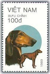 Colnect-1635-881-Greyhound-Canis-lupus-familiaris.jpg