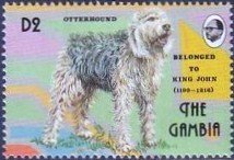 Colnect-2339-166-Otterhound-Canis-lupus-familiaris.jpg