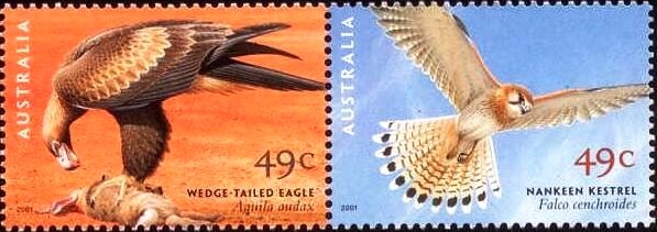 Colnect-2651-868-Wedge-tailed-Eagle-Australian-Kestrel.jpg