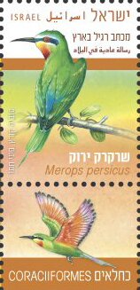 Colnect-5639-805-Blue-cheeked-Bee-Eater-Merops-persicus.jpg