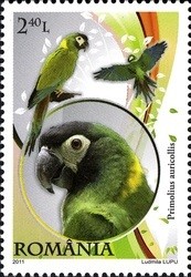 Colnect-763-173-Yellow-collared-Macaw-Primolius-auricollis.jpg