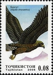 Colnect-1739-136-Golden-Eagle-Aquila-chrysaetos.jpg