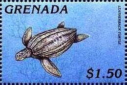 Colnect-4391-346-Leatherback-whale.jpg