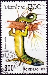 Colnect-1995-924-European-Green-Lizard-Lacerta-viridis.jpg