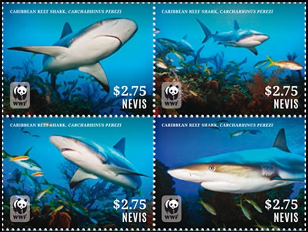 Colnect-4366-080-Caribbean-Reef-Shark-Carcharhinus-perezi.jpg