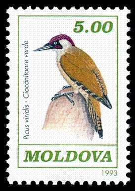 Colnect-348-282-Eurasian-Green-Woodpecker-Picus-viridis.jpg