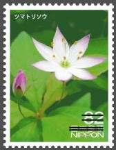 Colnect-3536-807-Chickweed-Wintergreen-Trollius-JaponicusShinanokinbai.jpg