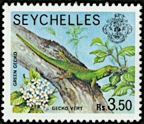 Colnect-5885-571-Green-Gecko-F-Phelsuma.jpg