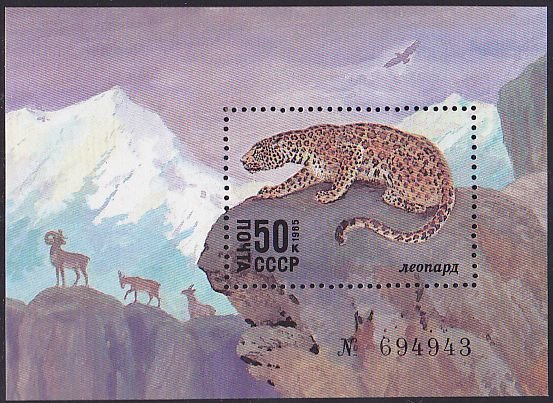 Colnect-1046-640-Snow-Leopard-Panthera-uncia.jpg