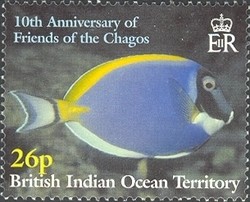 Colnect-1425-732-Powderblue-Surgeonfish-Acanthurus-leucosternon.jpg