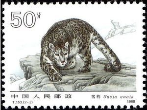 Colnect-1768-984-Snow-Leopard-Panthera-uncia.jpg