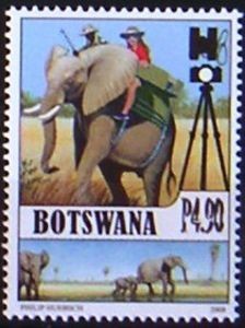 Colnect-1281-329-African-Elephant-Loxodonta-africana.jpg