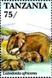 Colnect-5995-764-African-Elephant-Loxodonta-africana.jpg