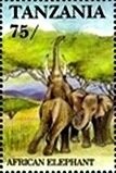 Colnect-5995-767-African-Elephant-Loxodonta-africana.jpg