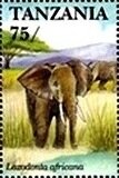 Colnect-5995-772-African-Elephant-Loxodonta-africana.jpg