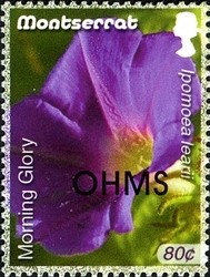 Colnect-1523-971-OHMS-overprint---Morning-Glory.jpg
