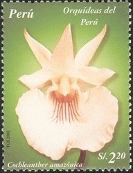 Colnect-1557-431-Orchids-of-Peru---Cochleanther-amazonica.jpg