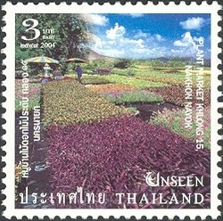 Colnect-1668-413-Plant-Market-Khlong-15-Nakhon-Nayok.jpg