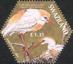 Colnect-1696-582-Cattle-Egret-Bubulcus-ibis.jpg