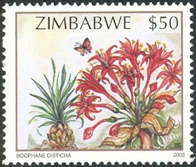 Colnect-552-591-Wildflowers-of-Zimbabwe-Series-2---Tumble-weed-Boophane-dis.jpg