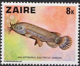 Colnect-1108-699-Electric-Catfish-Malapterurus-electricus.jpg