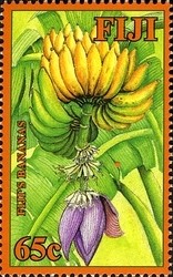 Colnect-934-709-Fiji--s-Bananas.jpg