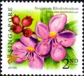 Colnect-2025-404-Singapore-rhododendron.jpg