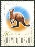 Colnect-708-426-Red-Kangaroo-Macropus-rufus-.jpg