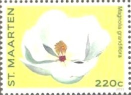 Colnect-2624-315-Magnolia-grandiflora.jpg