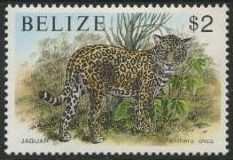 Colnect-1705-038-Jaguar-Panthera-onca.jpg