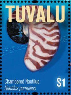 Colnect-6297-687-Chambered-Nautilus.jpg