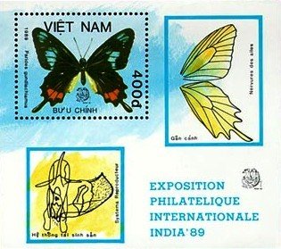 Colnect-1635-822-Cuban-Cattleheart-Parides-gundlachianus.jpg